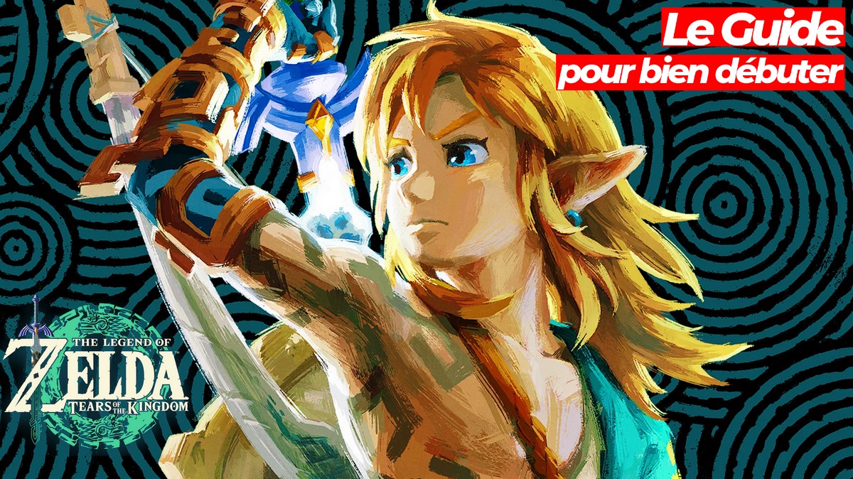 The Legend of Zelda : Tears of The Kingdom : un coup d'œil sur les  premières pages du guide du jeu en français - Nintendo Switch -  Nintendo-Master